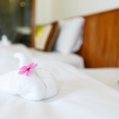 Отель Lama Homestay Hoi An удобства в номере