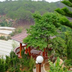 Отель Zen Valley Dalat Далат фото 10