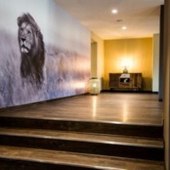 Отель Travel24 Hotel Leipzig-City Германия, Лейпциг - 1 отзыв об отеле, цены и фото номеров - забронировать отель Travel24 Hotel Leipzig-City онлайн сауна