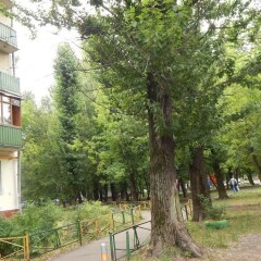 Апартаменты Apartment Hanaka on Shchelkovskoye