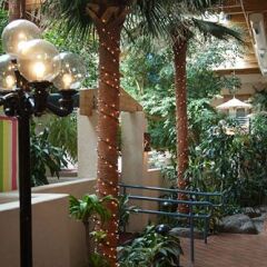Отель Grand Canyon Plaza Hotel США, Гранд-Каньон - отзывы, цены и фото номеров - забронировать отель Grand Canyon Plaza Hotel онлайн фото 9