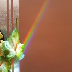 Отель Porta Felice Италия, Палермо - отзывы, цены и фото номеров - забронировать отель Porta Felice онлайн фото 3