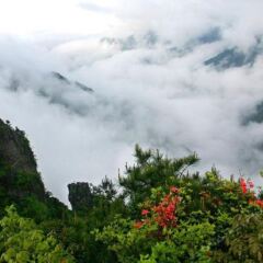 Отель Wugong Mountain Baihefeng Zhangpengfang