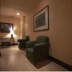 Отель Ramada Via Veneto Мексика, Мехико - отзывы, цены и фото номеров - забронировать отель Ramada Via Veneto онлайн комната для гостей фото 4