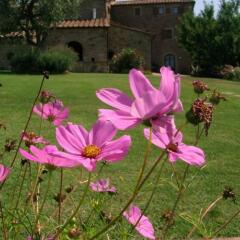 Отель Agriturismo Ca Lucano Ареццо