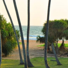 Отель Ocean View фото 3