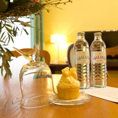 Appartement-Hotel an der Riemergasse гостиничный бар