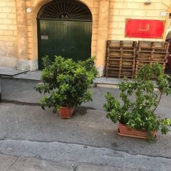 Отель Sant'Onofrio Terrace Италия, Палермо - отзывы, цены и фото номеров - забронировать отель Sant'Onofrio Terrace онлайн фото 2