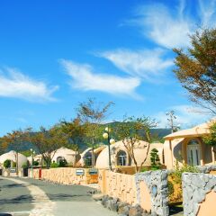 Отель Aso Farm Village Минамиогуни фото 14