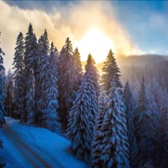 Отель Sunny Hills Ski Пампорово приотельная территория фото 2
