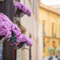 Отель Plaza Cisneros Испания, Валенсия - отзывы, цены и фото номеров - забронировать отель Plaza Cisneros онлайн помещение для мероприятий