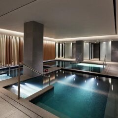 Отель The Shilla Seoul Южная Корея, Сеул - 1 отзыв об отеле, цены и фото номеров - забронировать отель The Shilla Seoul онлайн бассейн фото 2