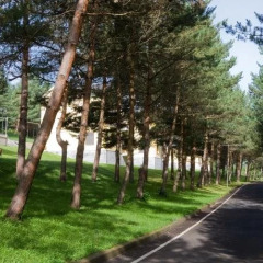 Отель Дилижан Ресорт Армения, Дилижан - отзывы, цены и фото номеров - забронировать отель Дилижан Ресорт онлайн детские мероприятия