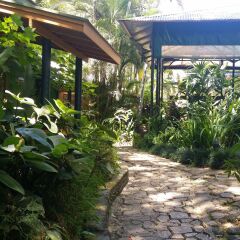 Отель Colo-I-Suva Rainforest Eco Resort Вити-Леву фото 13