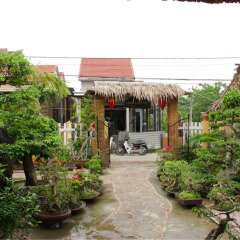 Отель The Grass Vy Homestay Хойан фото 2