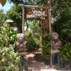 Отель Living Chilled Koh Tao - Hostel Таиланд, Остров Тау - отзывы, цены и фото номеров - забронировать отель Living Chilled Koh Tao - Hostel онлайн фото 7