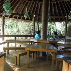 Отель Colo-I-Suva Rainforest Eco Resort Вити-Леву фото 3