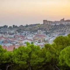 Отель Ephesus Hillside фото 7