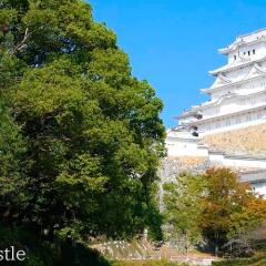 Kobe Sannomiya Union Hotel Кобе фото 7
