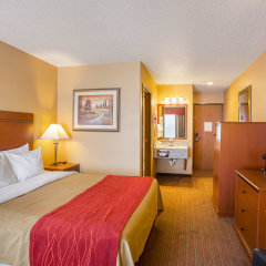 Отель Quality Inn США, Йорк - отзывы, цены и фото номеров - забронировать отель Quality Inn онлайн комната для гостей фото 2