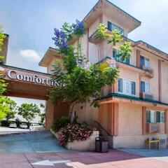 Отель Comfort Inn Monterey Park Монтерей-Парк фото 3