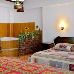 Гостиница Сочи Бриз SPA-отель в Сочи - забронировать гостиницу Сочи Бриз SPA-отель, цены и фото номеров фото 10