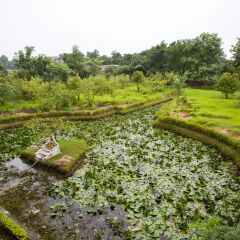 Отель Buddha Maya by KGH Group Непал, Лумбини - отзывы, цены и фото номеров - забронировать отель Buddha Maya by KGH Group онлайн приотельная территория