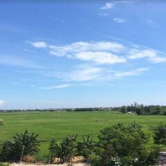 Отель Green Grass Land Villa фото 6