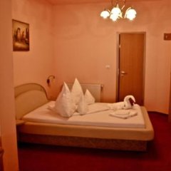 Pensiunea Vlad Home in Timisoara, Romania from 68$, photos, reviews - zenhotels.com guestroom photo 4