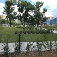 Отель P&O Apartments SOHO Factory Польша, Варшава - отзывы, цены и фото номеров - забронировать отель P&O Apartments SOHO Factory онлайн приотельная территория