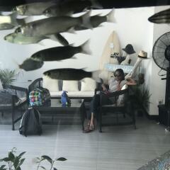 Отель Island Beach House Мальдивы, Мале - отзывы, цены и фото номеров - забронировать отель Island Beach House онлайн интерьер отеля