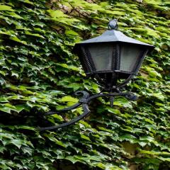 Отель Tulip Inn Thueringerhof Vienna Вена