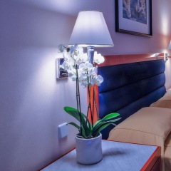 Отель Mediterranean Hotel Греция, Родос - 2 отзыва об отеле, цены и фото номеров - забронировать отель Mediterranean Hotel онлайн удобства в номере