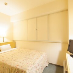 Отель GreenHotel Kitakami Япония, Китаками - отзывы, цены и фото номеров - забронировать отель GreenHotel Kitakami онлайн комната для гостей фото 4