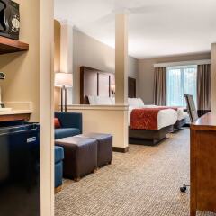 Отель Comfort Suites Columbus Airport США, Колумбус - отзывы, цены и фото номеров - забронировать отель Comfort Suites Columbus Airport онлайн удобства в номере фото 2