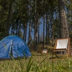 Апартаменты Green Life Family Apartments Pamporovo Пампорово спортивное сооружение