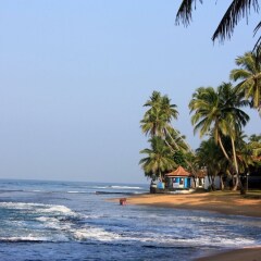 Отель Time N Tide Beach Resort Хиккадува фото 8