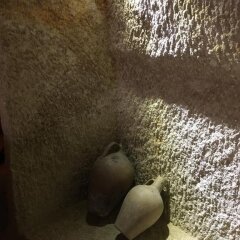 Отель Demisos Caves с домашними животными