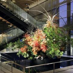 The Capitol Hotel Tokyu фото 11