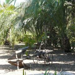 Отель Agroturismo Es Palmer фото 5