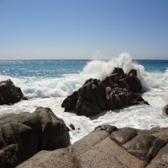 Отель Cabo Accomodations for Everyone Педрегал пляж