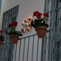Отель Hostal Jardín de la Alameda балкон