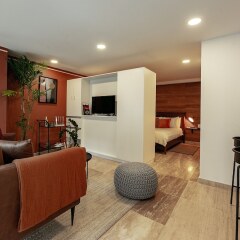 Апартаменты Delightful Studio in Hipodromo Мехико фото 9
