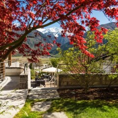 Отель Residence Landhaus Fux Силандро фото 4