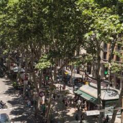 Отель Hostal Benidorm развлечения
