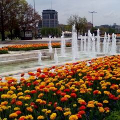 Отель Alexander Business Apartments Болгария, София - 2 отзыва об отеле, цены и фото номеров - забронировать отель Alexander Business Apartments онлайн помещение для мероприятий фото 2