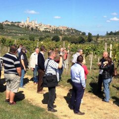 Отель Fattoria Abbazia Monte Oliveto Италия, Сан-Джиминьяно - отзывы, цены и фото номеров - забронировать отель Fattoria Abbazia Monte Oliveto онлайн приотельная территория фото 2