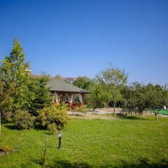 Гостиница Pansionat Bogema фото 12