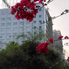 Tielong Hotel фото 3