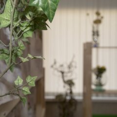Гостиница Green Hostel Kuzminki в Москве 6 отзывов об отеле, цены и фото номеров - забронировать гостиницу Green Hostel Kuzminki онлайн Москва